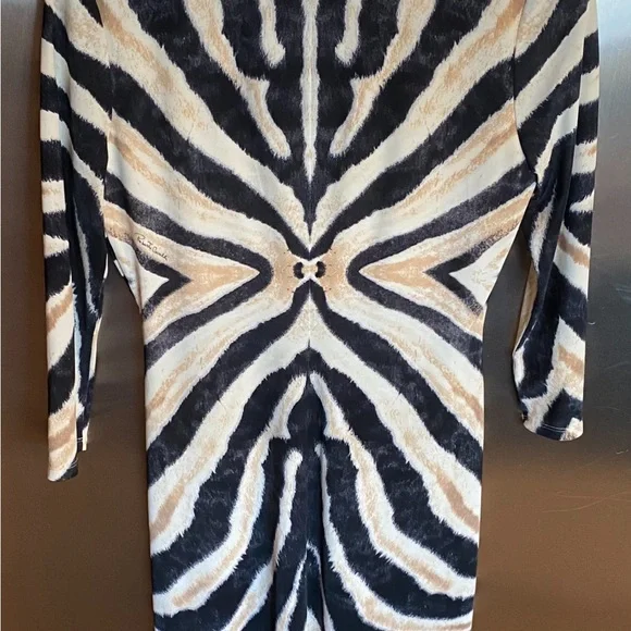 Roberto Cavalli Black and White Zebra Mini Dress - Picture 4 of 6